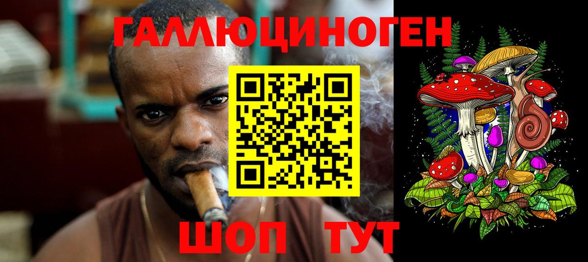 Избербаш  Галлюциногенные грибы Psilocybe  Вход с VPN 